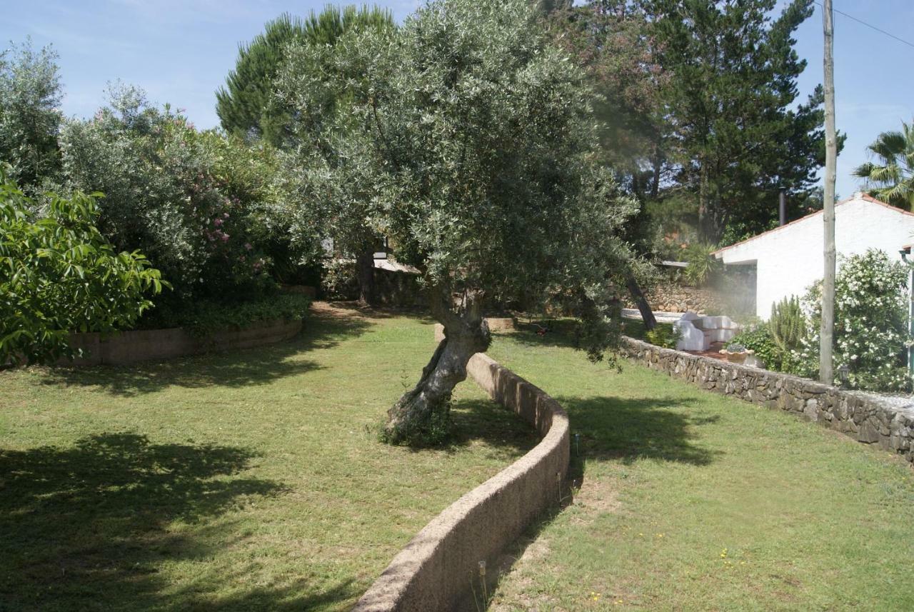 Casa Do Vale Villa Sao Pedro de Tomar Luaran gambar